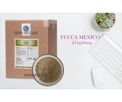 Yucca Star Powder - Yucca nguyên liệu Mexico dạng bột