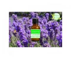 Tinh dầu Lavender - Hoa oải hương - 6 công dụng tuyệt vời